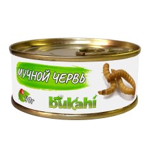 Мучной червь консервированный