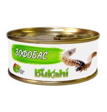 Зофобас консервированный