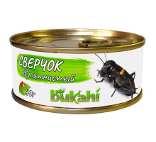 Сверчок двупятнистый консервированный