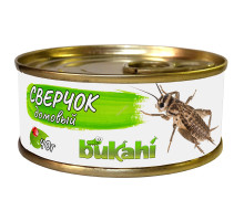 Сверчок домовый консервированный