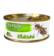 Сверчок домовый консервированный
