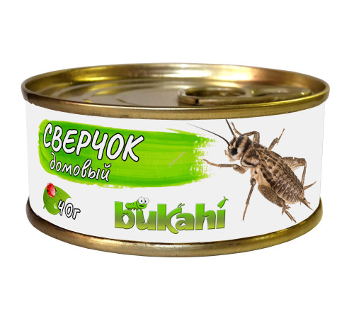 Сверчок домовый консервированный