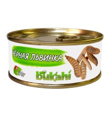 Черная Львинка консервированная