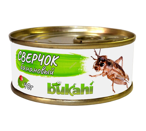 Сверчок банановый консервированный