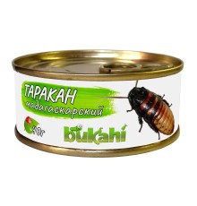 Таракан мадагаскарский консервированный