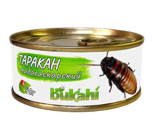 Таракан мадагаскарский консервированный