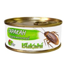 Таракан туркменский консервированный
