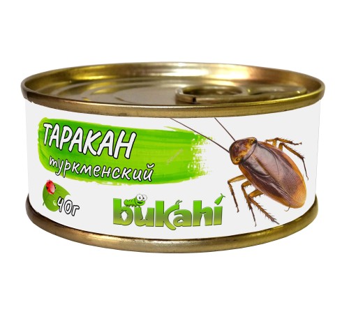 Таракан туркменский консервированный