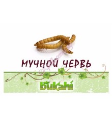 Мучной червь сушеный 20г