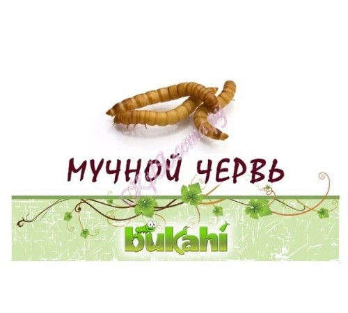Мучной червь сушеный 20г