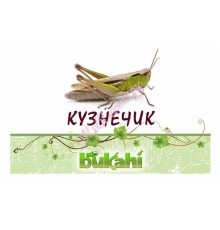 Кузнечик сушеный 20г