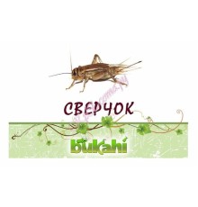 Сверчок сушеный 20г
