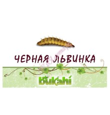 Черная львинка сушеная 20г