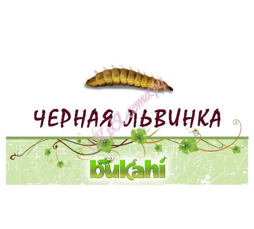 Черная львинка сушеная 20г