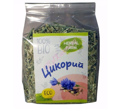 HF Цикорий
