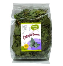 HF Смородина