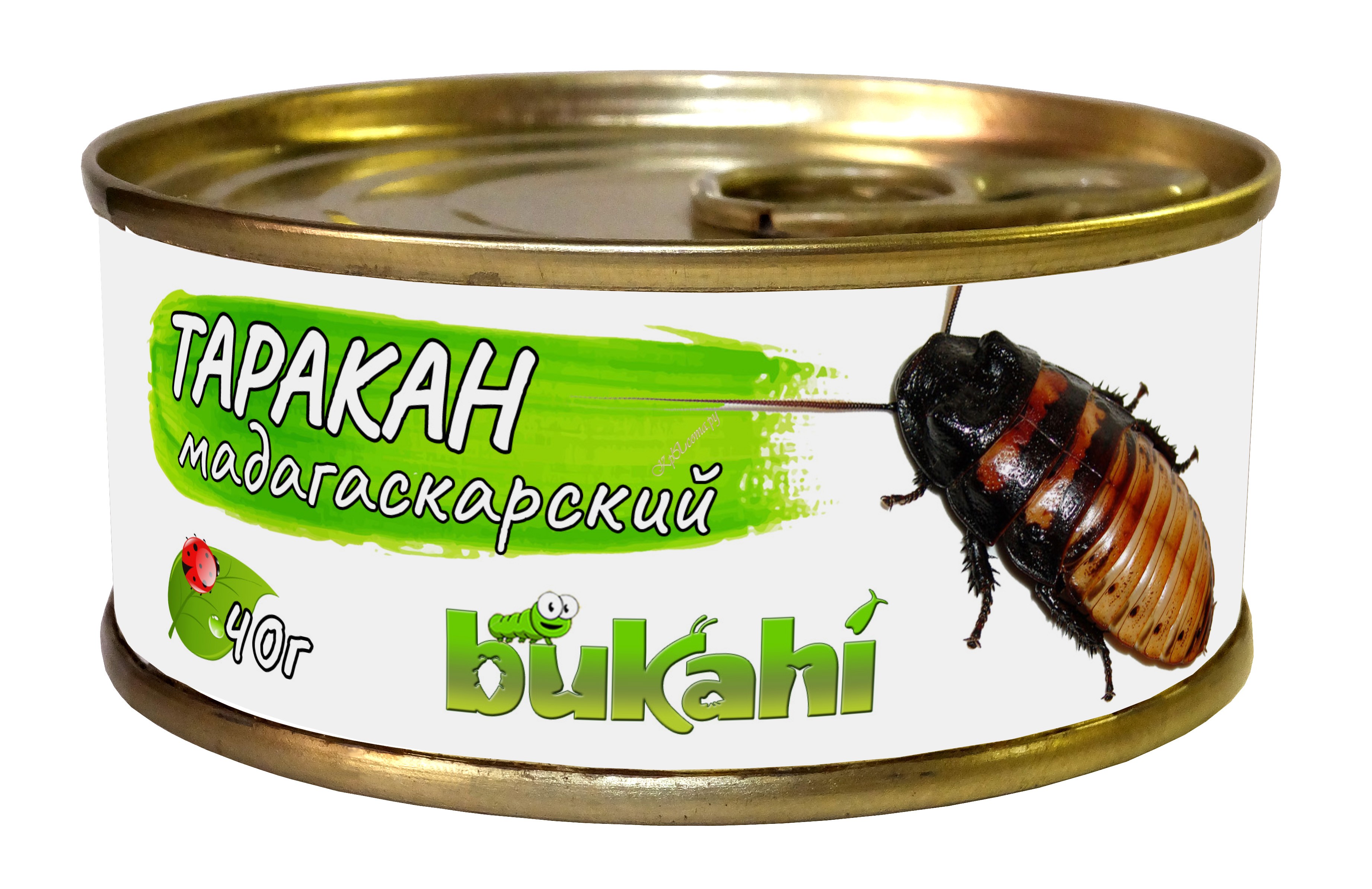 Тараканы купить новосибирск. Туркменский таракан консервированный 40гр. Консервы букахи мраморный таракан. Туркменские тараканы консервированные. Туркменский таракан консервированный onto, 40 г.