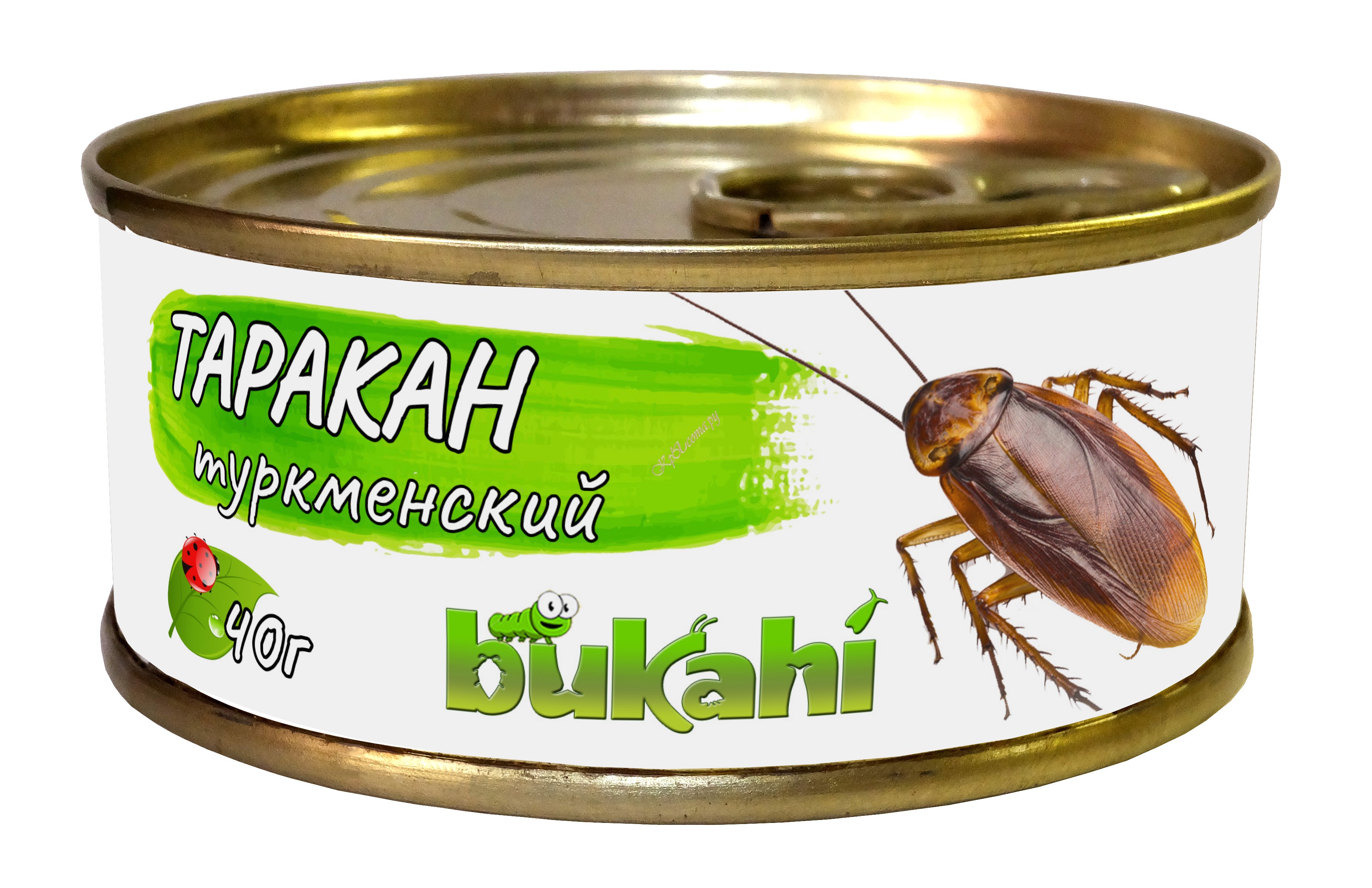 Таракан туркменский консервированный для насекомоядных