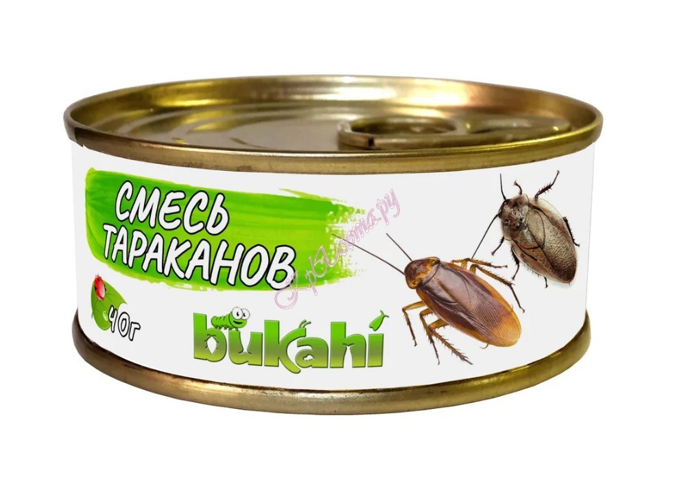 Bukahi консервированная смесь из туркменских и мраморных тараканов