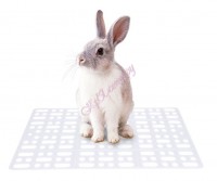 Carno пластиковый коврик на решетку в клетке для кроликов 25x34.5x1.5cm