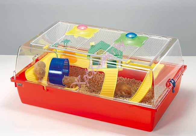 Условия для хомяка. Домик для сирийского хомяка. Условия для сирийского хомяка. Клетка для джунгарского хомяка. Клетка для хомяка джунгарика.