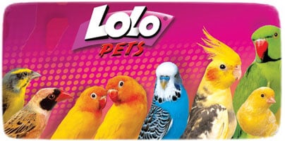 LoLo Pets  